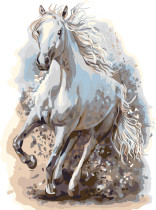 " ФРЕЯ" PNB/ PM- 083 Набор для раскрашивания по номерам 40 х 30 см " Со скоростью ветра" 